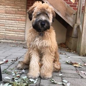 Meet your Posher, Ellen